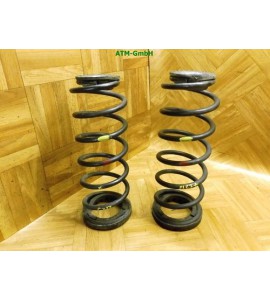 Feder Federn x 2 Stück hinten Daewoo Chevrolet Kalos