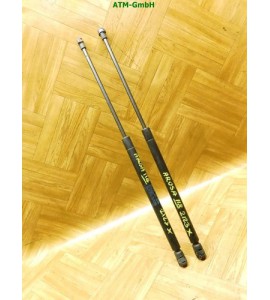 Gasdruck Gasdämpfer Heckklappendämpfer x 2 Stück hinten Seat Arosa 6X0827550A
