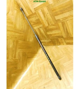 Gasdruck Gasdämpfer Motorhaubendämpfer vorne 1 Stück VW Passat B6 3C5