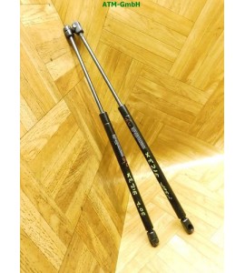 Gasdruck Gasdämpfer Heckklappendämpfer x 2 Stück hinten Peugeot 307