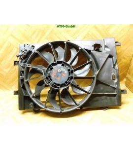 Lüfter Gebläsemotor Kühlerlüfter Chevrolet Aveo GM 95483701 Delphi