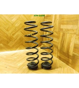 Feder Federn x 2 Stück hinten Skoda Fabia