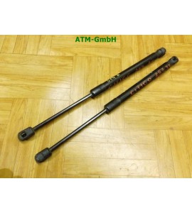 Gasdruck Gasdämpfer hinten x 2 Stück Heckklappendämpfer Skoda Citigo