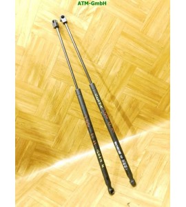 Gasdruck Gasdämpfer Heckklappendämpfer x 2 Stück hinten Renault Megane Scenic 1