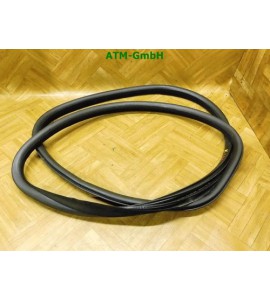 Dichtung Türdichtung vorne links Volvo S80 2 II 124 Limousine D3 Fahrerseite