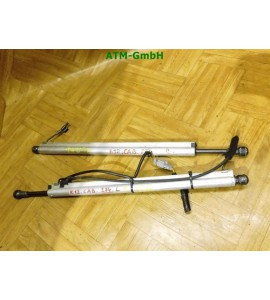 Hydraulikdämpfer Verdeck Dämpfer x 2 Stück Nissan Micra 3 III K12 C+C Cabrio