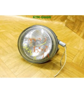 Nebelscheinwerfer Nebelleuchte NSW NSL Renault Clio 2 II links 7700838255