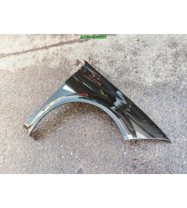Kotflügel rechts Renault Megane 2 II Farbcode NV676 Noir Nacre Schwarz Metallic