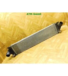 Ladeluftkühler Ford Focus 2 II 8V619L440AC