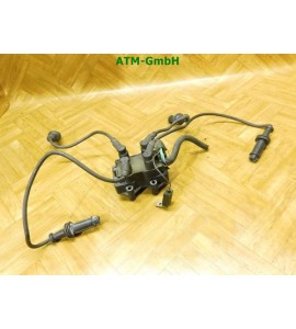 Zündspule Citroen Saxo Sagem