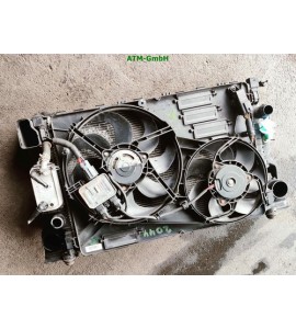 Wasserkühler Behr Volvo S80 2 II 124 Limousine D3 FoMoCo 31319424 6G9119710DB