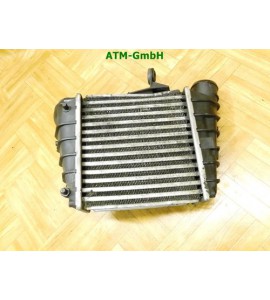 Ladeluftkühler Skoda Fabia 1 6Y5 Kombi Valeo 6Q0145804A