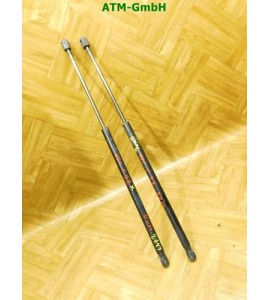 Gasdruck Gasdämper x 2 Stück hinten Heckklappendämpfer Opel Vectra C Kombi GM