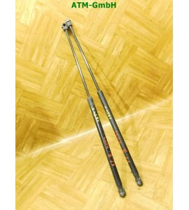 Gasdruck Gasdämpfer Heckklappendämpfer hinten x 2 Stück Ford Focus 2 II Kombi