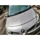 Motorhaube Renault Clio 3 III Farbcode TEHNK Beige Cendre Perleffekt