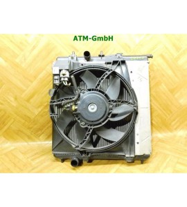 Wasserkühler Kühlerlüfter Lüfter Gebläsemotor Peugeot 207 Valeo 9682902080