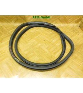 Dichtung Türdichtung vorne links Peugeot 207 5 türig Fahrerseite