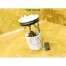 Kraftstoffpumpe Benzinpumpe VW Polo 5 V 6R  6R0919051F A2C53436805