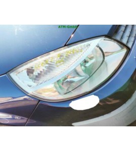 Frontscheinwerfer Scheinwerfer rechts Renault Scenic 2 II Beifahrerseite