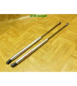 Gasdruck Gasdämpfer Heckklappendämpfer x 2 Stück hinten VW Golf 4 IV 3 türig