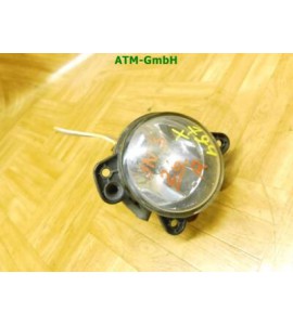 Nebelscheinwerfer Nebelleuchte NSW NSL VW Polo 9N3 rechts Beifahrerseite