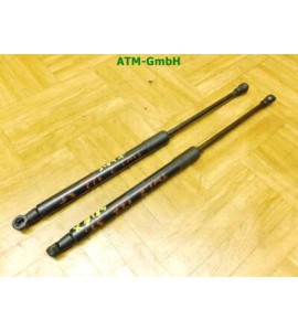 Gasdruck Gasdämpfer Heckklappendämpfer x 2 Stück hinten Renault Twingo 2 3 türig