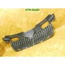 Frontgrill Kühlergrill Skoda Fabia 2 II 5J 542 5J0853668A