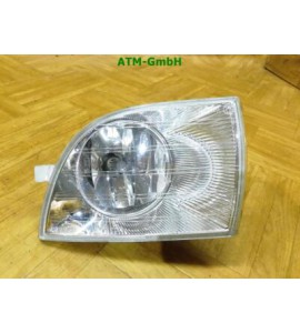 Nebelscheinwerfer Nebelleuchte NSL vorne links Skoda Fabia 2 II 542 Fahrerseite