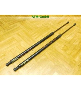 Heckklappendämpfer Gasdruck Gasdämpfer x 2 Stück hinten BMW 3 Compact E46