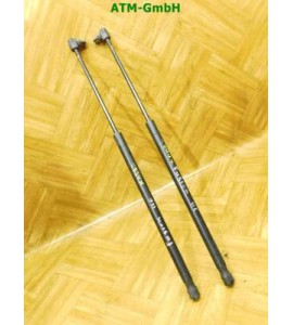 Heckklappendämpfer Gasdruck Gasdämpfer x 2 Stück hinten Ford Fusion