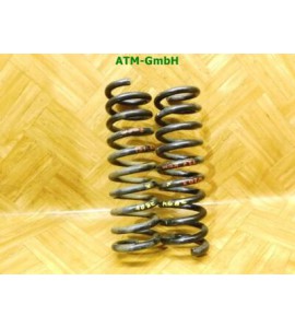 Feder Federn x 2 Stück hinten Mercedes Benz C-Klasse W203 T-Modell