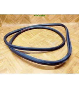 Dichtung Türdichtung vorne rechts Audi A6 4F5 Beifahrerseite