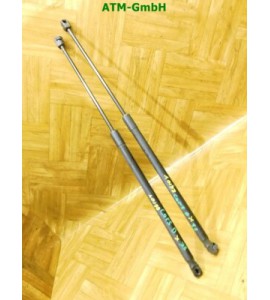 Gasdruck Gasdämpfer Heckklappendämpfer x 2 Stück hinten Opel Corsa D GM