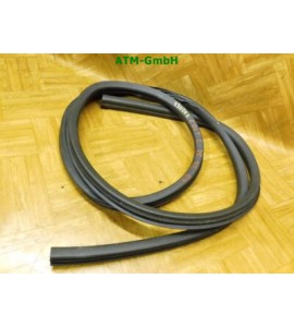 Dichtung Türdichtung vorne links Mitsubishi Colt 6 VI Fahrerseite