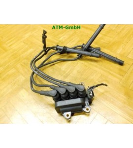 Zündspule Renault Clio 3 III 0033C52919 0040100325