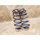 Feder Federn x 2 Stück hinten Toyota Yaris 2 II 5 türig