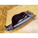 Windlauf Windabweiser Regenabweiser Windkasten links Toyota Yaris 2 II