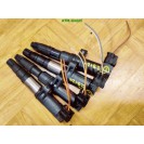 Zündspule Zündspulenset Set x 4 Stück Renault Clio 3 III