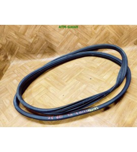 Dichtung Türdichtung vorne links Renault Clio 3 III 3 türig Fahrerseite