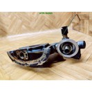 Ölpumpe Renault Clio 3 III Pierburg 8200251904