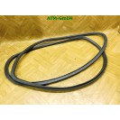 Dichtung Türdichtung vorne links VW Polo 9N3 3 türig Fahrerseite