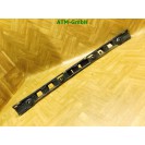 Stoßstangenhalter Führungsprofil  Mitte hinten VW Golf Plus 5M0807863A