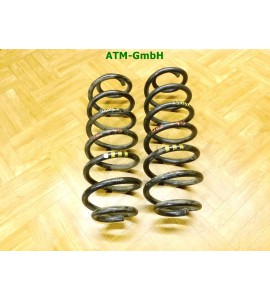 Feder Federn x 2 Stück hinten VW Golf Plus