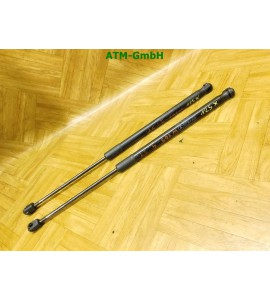 Gasdruck Gasdäpfer x 2 Stück hinten Mercedes Benz A-Klasse W169