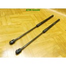 Gasdruck Gasdäpfer x 2 Stück hinten Mercedes Benz A-Klasse W169