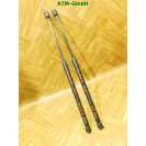 Gasdruck Gasdämpfer x 2 Stück hinten Mercedes Benz A-Klasse W169