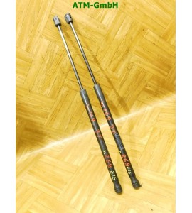 Gasdruck Gasdämpfer x 2 Stück hinten Mercedes Benz A-Klasse W169