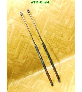 Gasdruck Gasdämpfer Heckklappendämpfer x 2 Stück hinten Opel Corsa D 5 türig GM
