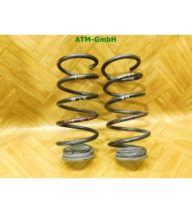 Feder Federn x 2 Stück hinten Opel Corsa D