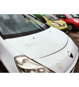 Motorhaube Renault Clio 3 III Farbcode OV369 Farbe Weiss Ice White BC